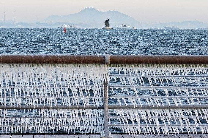 遼寧大連開(kāi)啟冰凍模式 海岸護(hù)欄掛冰棱